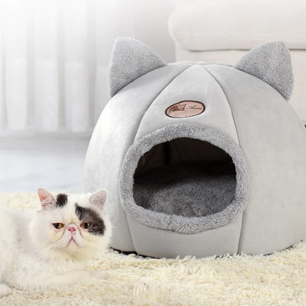 cozy cat in cat cave 
