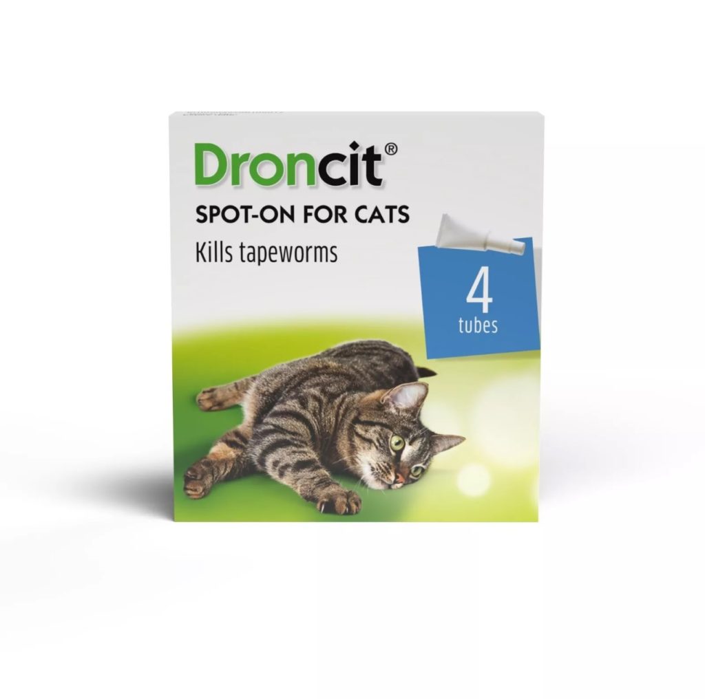 Droncit cat dewormer cat tapeworm 